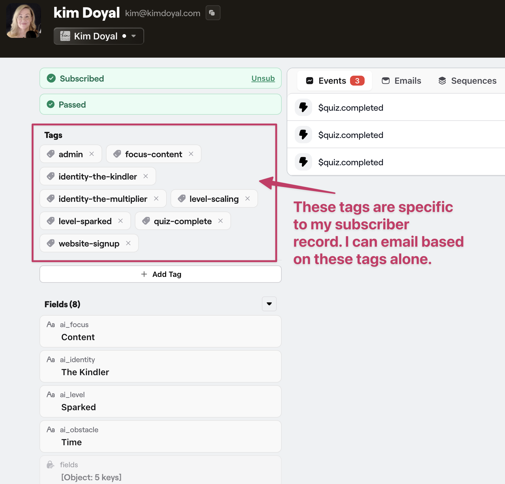 Bento subscriber record showing tags like focus-content, identity-the-kindler, level-sparked, and custom fields for AI focus,